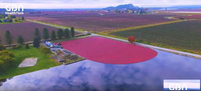 想做大健康行业，那你可就不得不了解一下GBN了