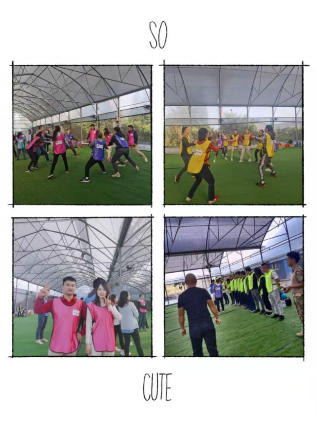 深圳宝安适合周末团建的地方户外休闲团建基地