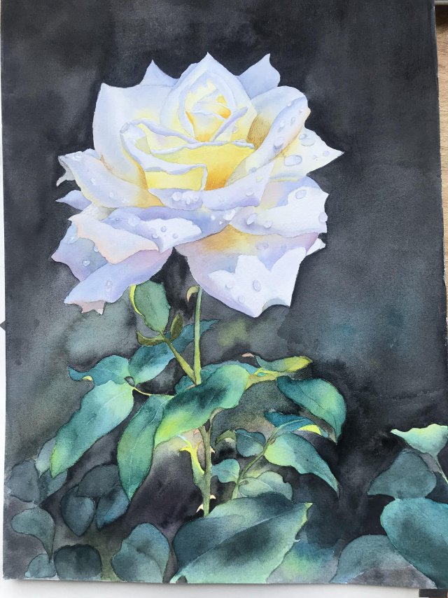 南京学国画南京学美术南京零基础美术班