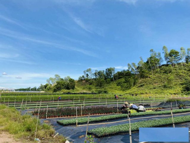 深圳周末出游可以野炊烧烤的地方