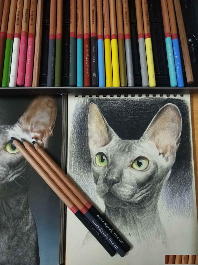 哪里可以零基础学画画，首选名玛雅基础不限课时班