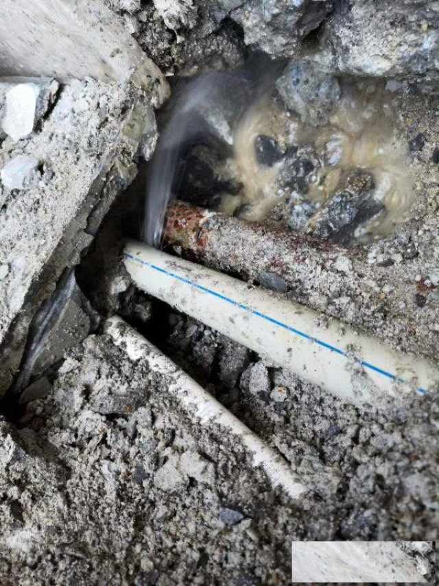 广州专业检测供水管网漏损、小区绿化管漏水检测