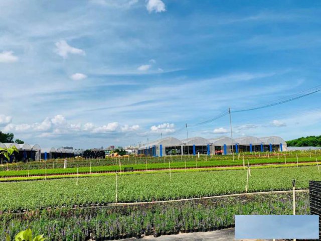 深圳周边游玩好地方很多人都不知道