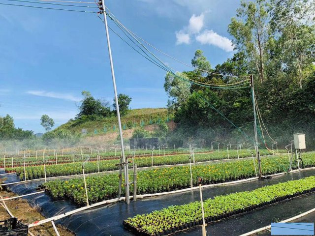 深圳春游值得一去的农家乐周末野炊郊游活动好地方