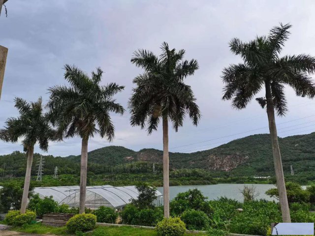 深圳宝安区周边可野炊烧烤团建的农家乐