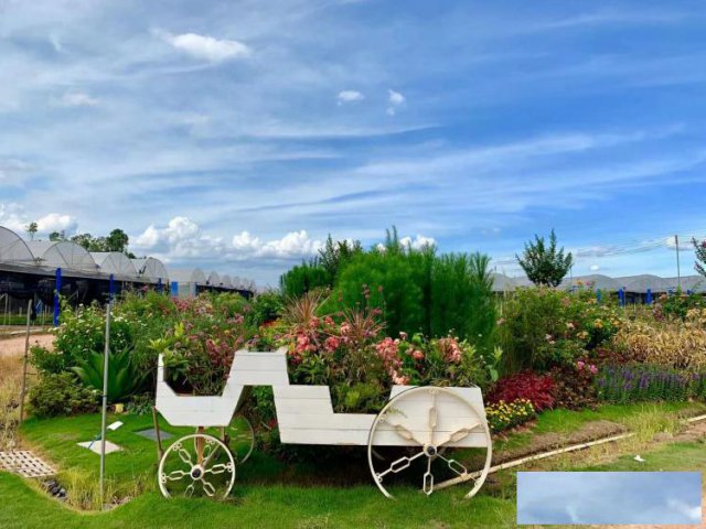 深圳春游哪里好周末踏青好地方