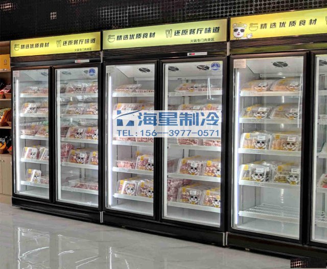 河南立式冷冻展示柜定做厂家哪里有