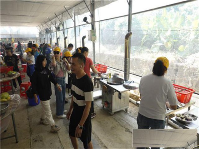 深圳野炊烧烤好地方田中园趣味有机农场