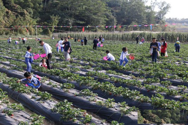 深圳公司团建朋友圈公司团建照片
