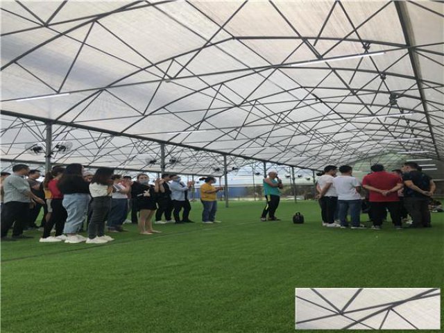 深圳周末亲子游农家乐野炊烧烤活动方案咨询