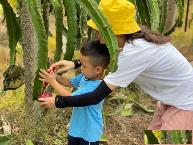 深圳龙华周边值得一去的农家乐九龙生态园
