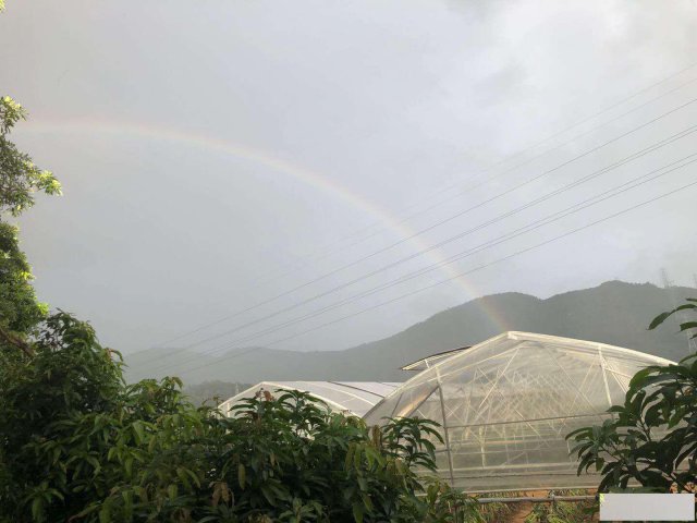 深圳沙井周边公司团建亲子游聚会