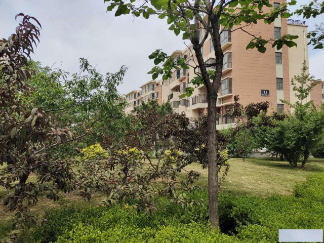 山东龙口海景房精装特价房拎包入住