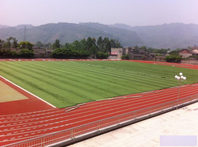 江西抚州学校硅PU篮球场塑胶跑道人造草坪造价一平方多少钱