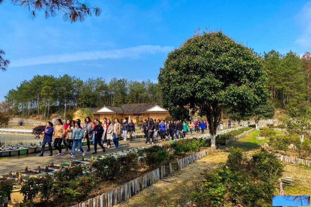 长沙休闲农家乐一日游春游|赏花|野炊烧烤|休闲垂钓