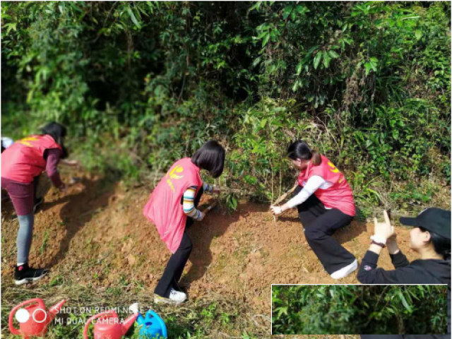 广州白云区春天组织植树团建活动的地方