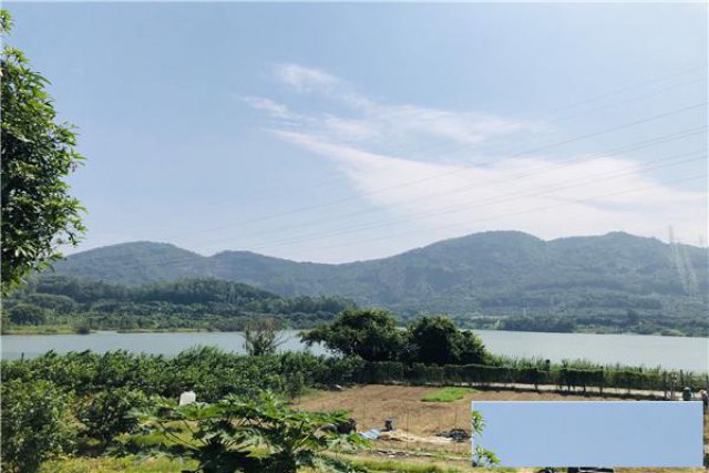 深圳好玩的地方深圳农家乐可以自己野炊做饭的生态园