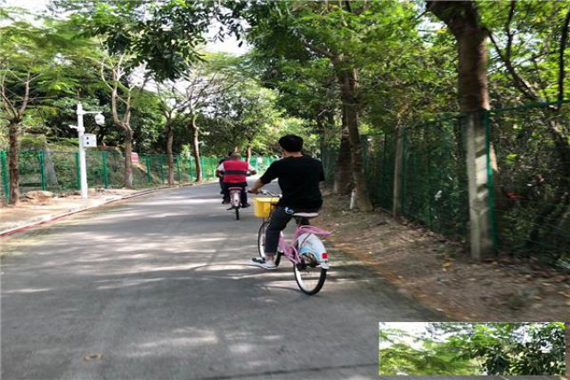 深圳野炊烧烤的地方适合公司团建朋友聚会的场地