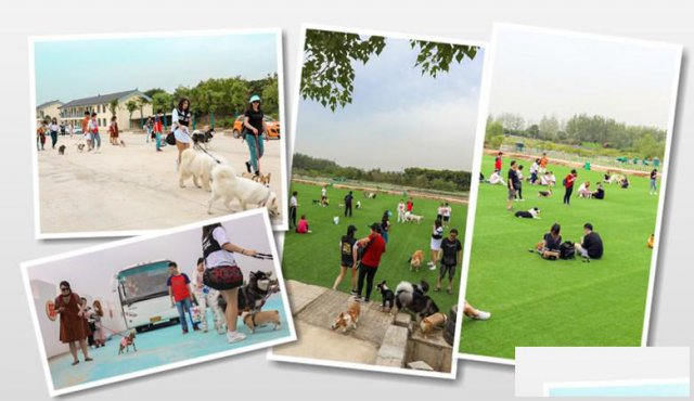 友情分享武汉基建场地武汉乐农生态园三个阶段请抓紧了解