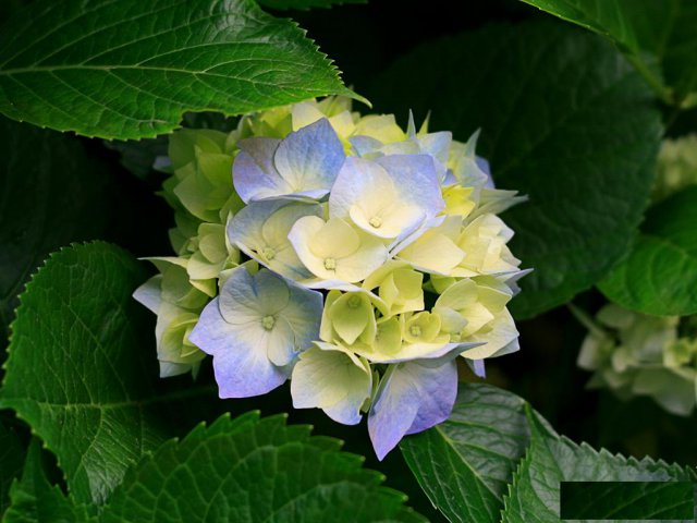 西直门仟知鑫专业儿童钢琴