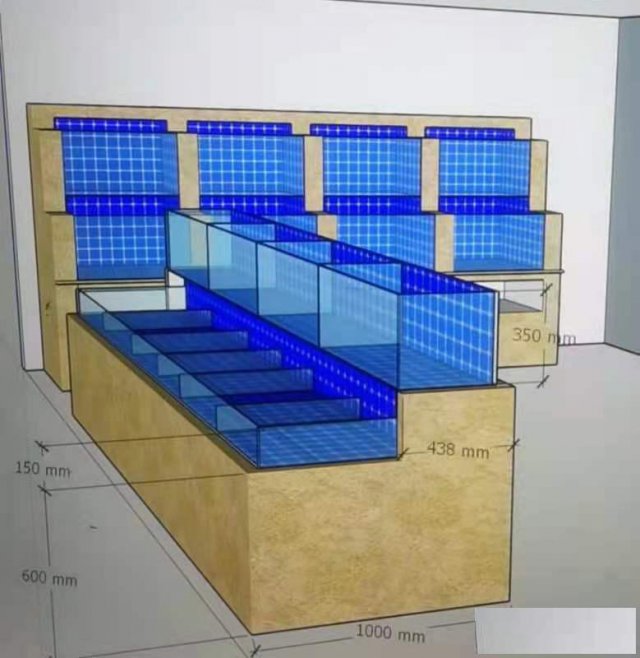 黄埔海鲜池定制安装公司哪里有萝岗海鲜池定制价格