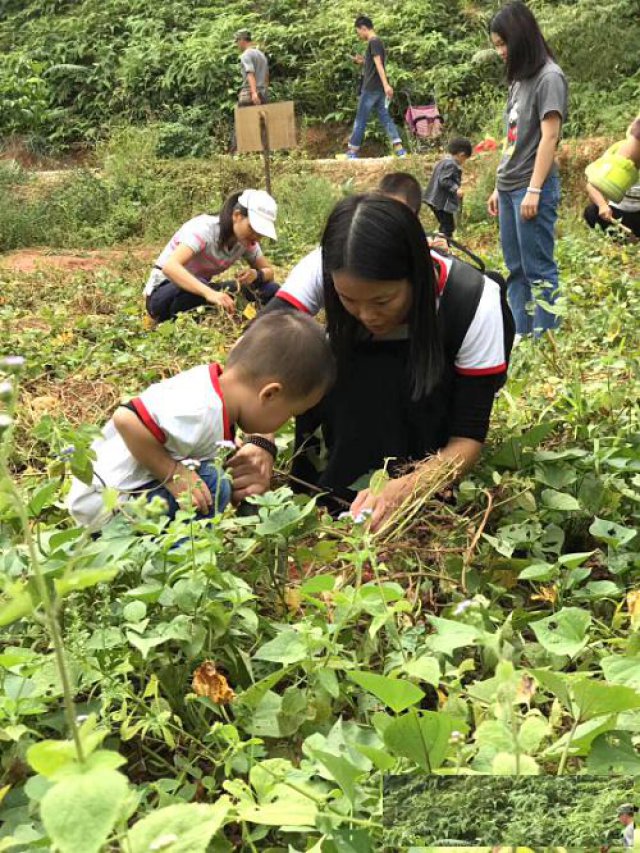 亲子旅游广州白云区周边好玩亲子游场地