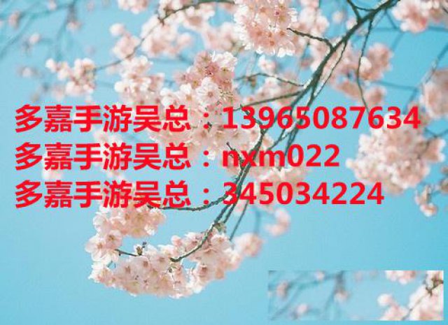 多嘉手游招商多嘉手游代理手游招商加盟代理