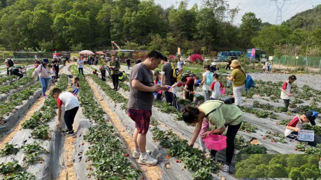 现在深圳找农家乐团建都是怎么样的