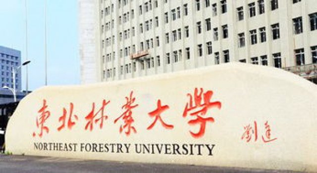 助学小自考推荐/东北林业大学/拿学位简单