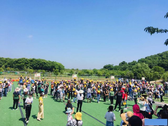 青山区采摘哪里好？旅行团长常曰这值得一去