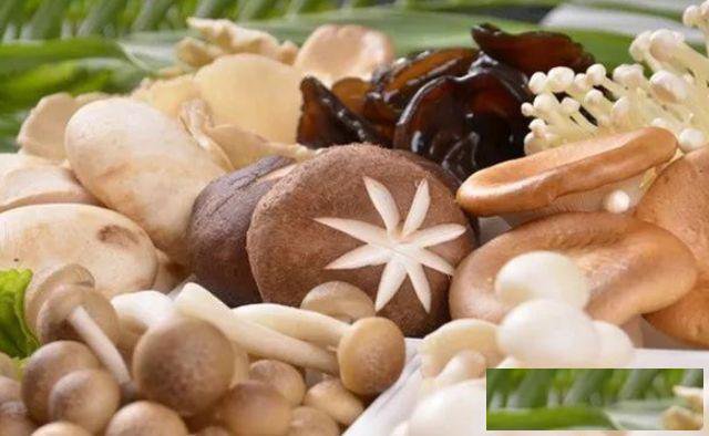 龙岗区蔬菜配送公司哪家好提供一站式送菜配送服务