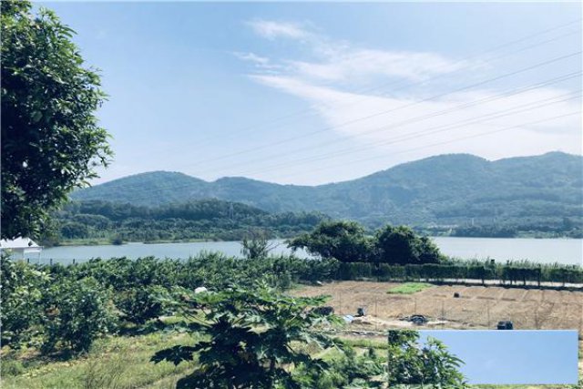 深圳农家乐团建一日游田中园生态园野炊拓展一日游