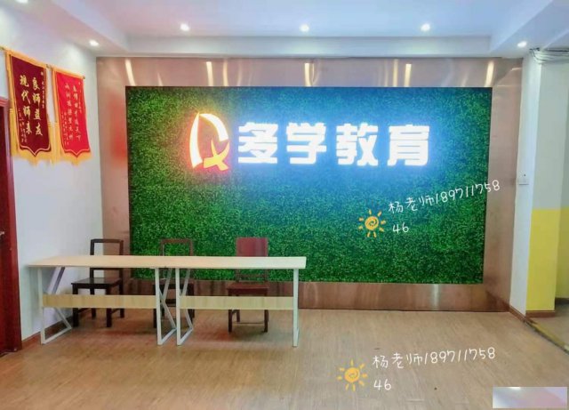 多学教育针对艺术生文化课培训