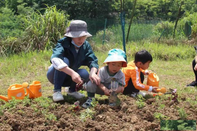 爸爸帮隆重推荐武汉户外亲子游乐左挑右选乐农
