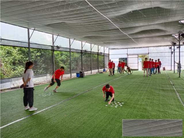 深圳户外拓展、企业团建、亲子游、自助野炊烧烤