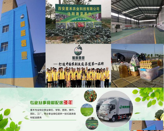西安公司蔬菜一站式配送