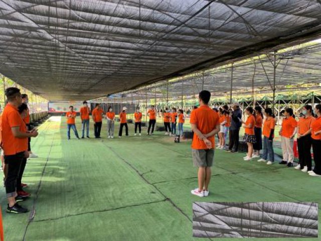 深圳周边公司团建去哪玩