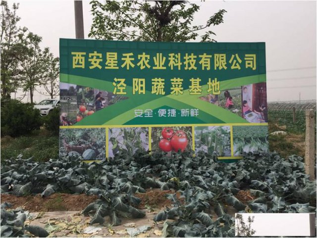 单位员工食堂蔬菜一站式配送