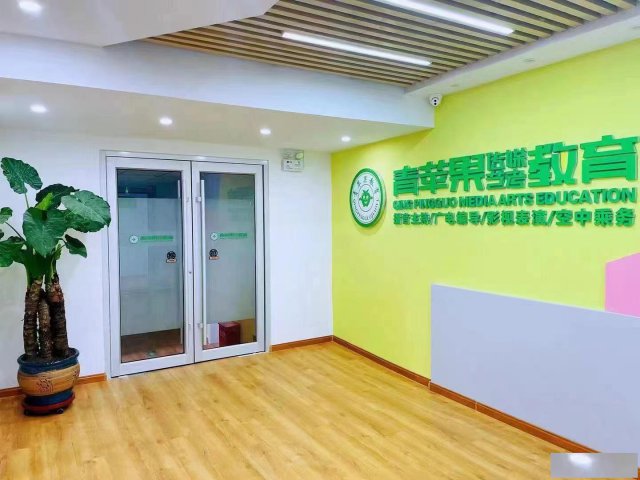 天水青苹果传媒