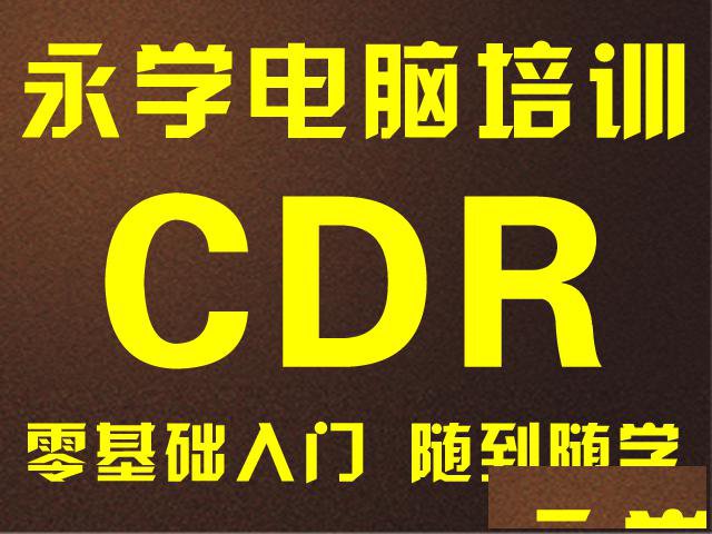 漳州哪里有cdr培训，来永学