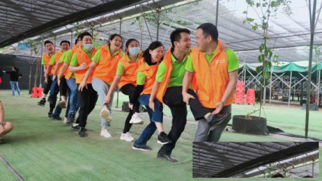 深圳周边公司出游团建的旺季又到了还没找到好地方吗