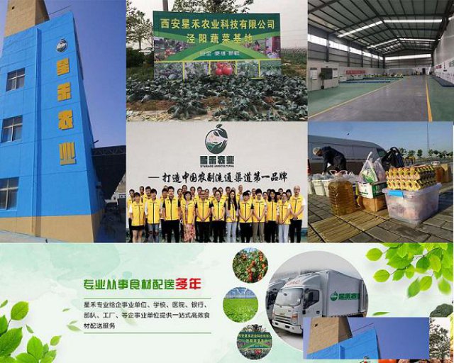 单位食堂蔬菜一站式配送