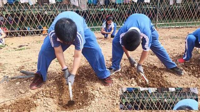 深圳周边幼儿园适合户外研学的地方