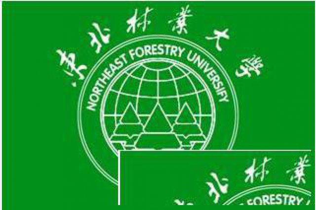 211重点大学东北林业大学自考本科简单学位稳