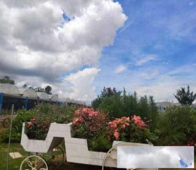 深圳周边农家乐推荐