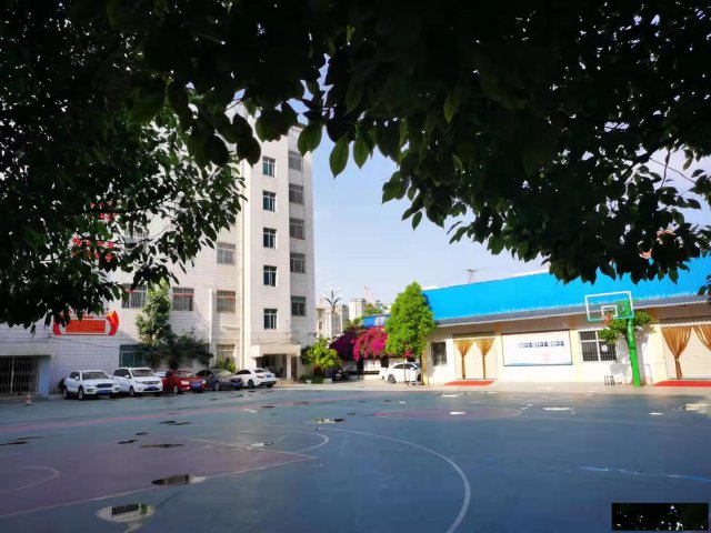 滇云教育2022届艺术文化冲刺班艺术冲刺班招生