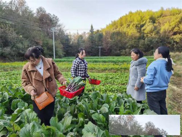 长沙周边旅游公司年会拓展行程方案农家乐年会两日游