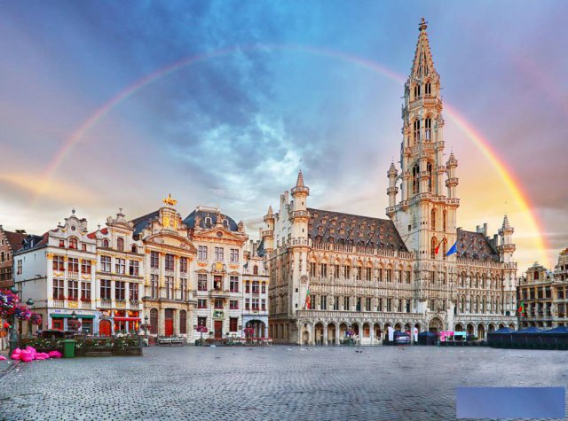 以色列公司注册