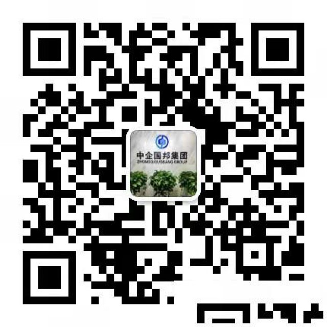 记账报税公司注册选海口妖七七酒吧肆久凌武六久