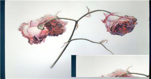 南京零基础素描班水彩美术班